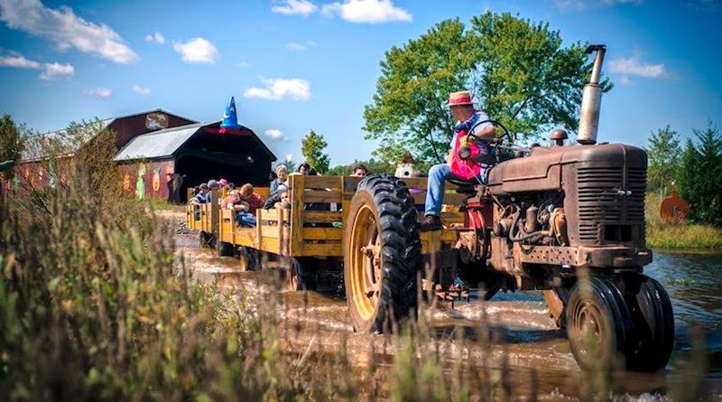 Cox Farms, Centreville, Fairfax County