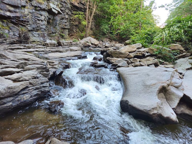 Nay Aug Gorge - Scranton, Lackawanna County