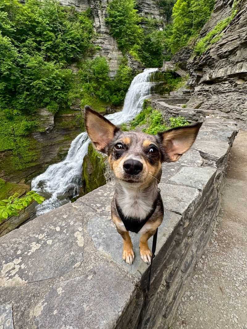 Robert H. Treman State Park Trail - Ithaca, Tompkins County