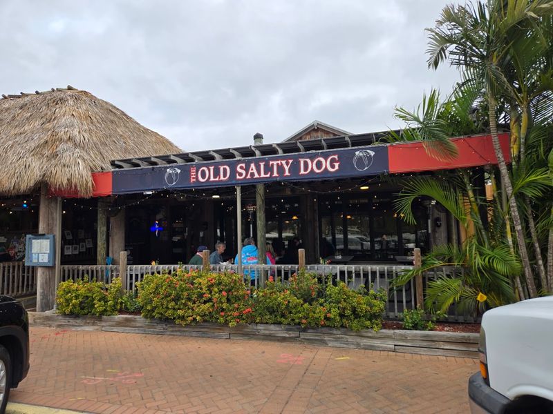 The Old Salty Dog - Siesta Key, Sarasota County