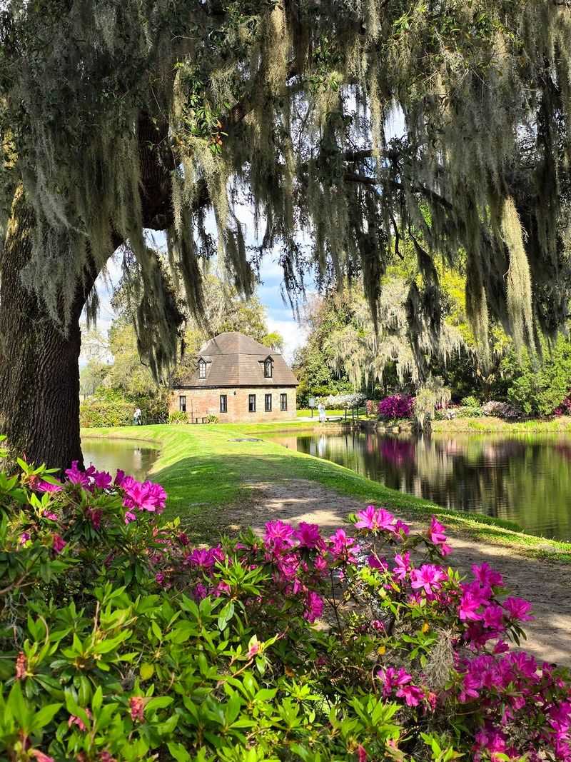 Middleton Place, Charleston, Charleston County