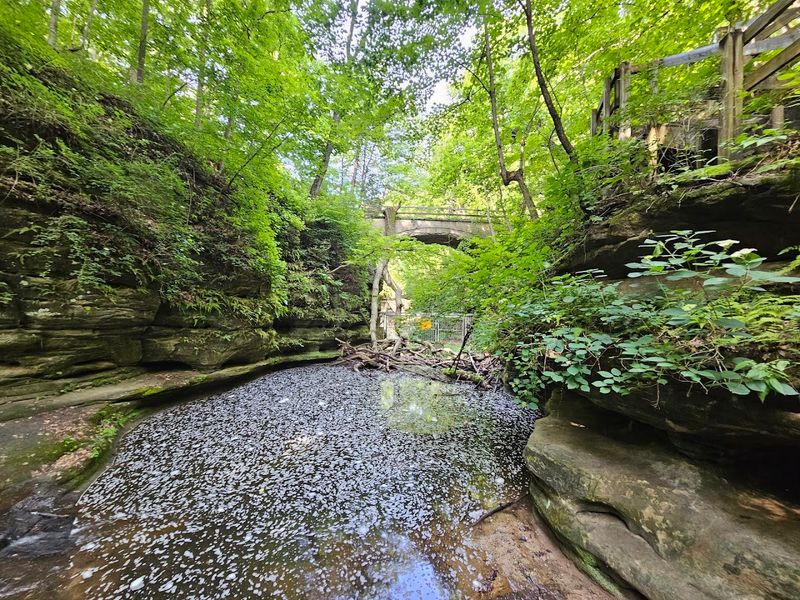 Matthiessen State Park (Oglesby)