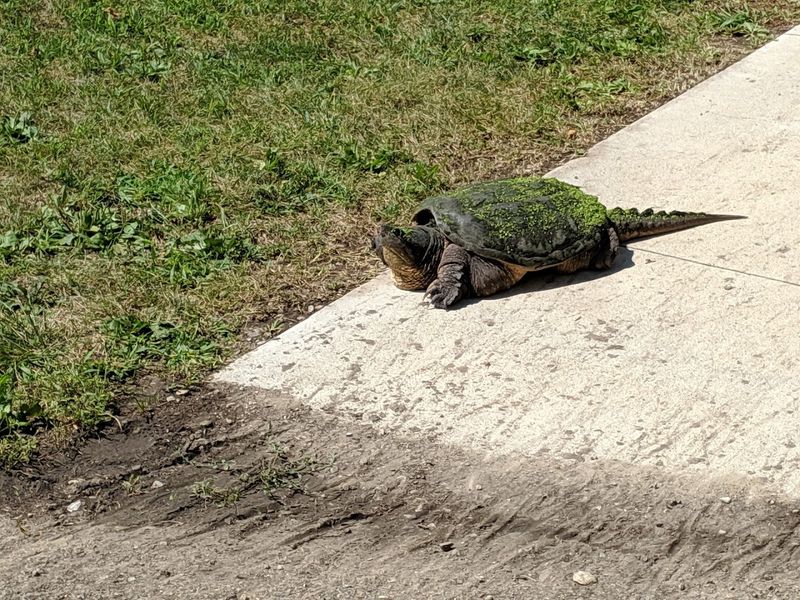 Wildlife And Water Give The Park Extra Depth