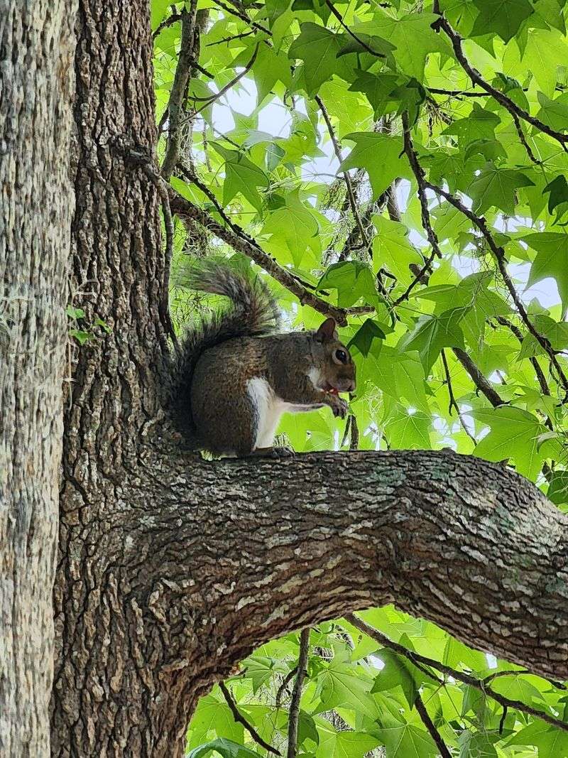 Wildlife Sightings Keep Every Visit Interesting
