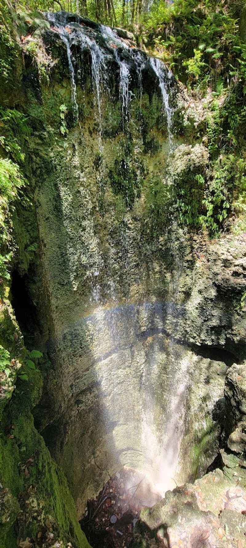 Why Falling Waters Belongs on Every Florida Road Trip
