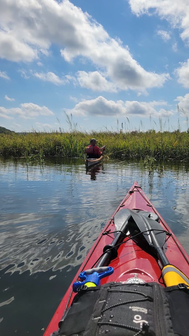 Paddle Your Way to Paradise