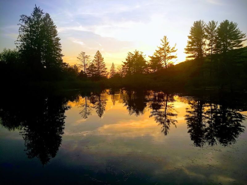 Wildlife, Silence, and Stargazing Give the Park Its Real Magic