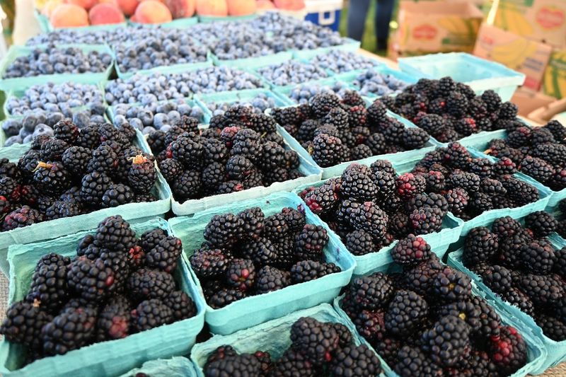 Cuyahoga Valley Farmers Market