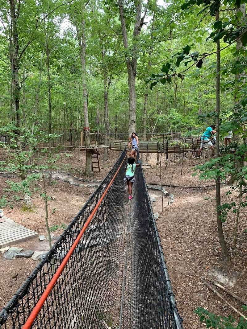 Treetop Zoofari Zipline and Adventure Park