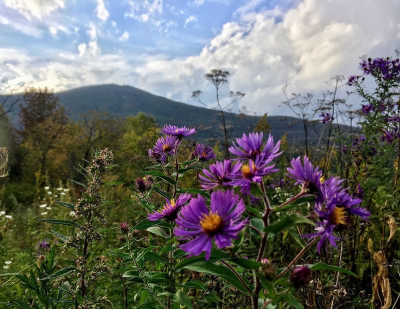 Greylock Glen - Adams, Berkshire County