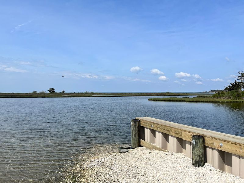Chincoteague