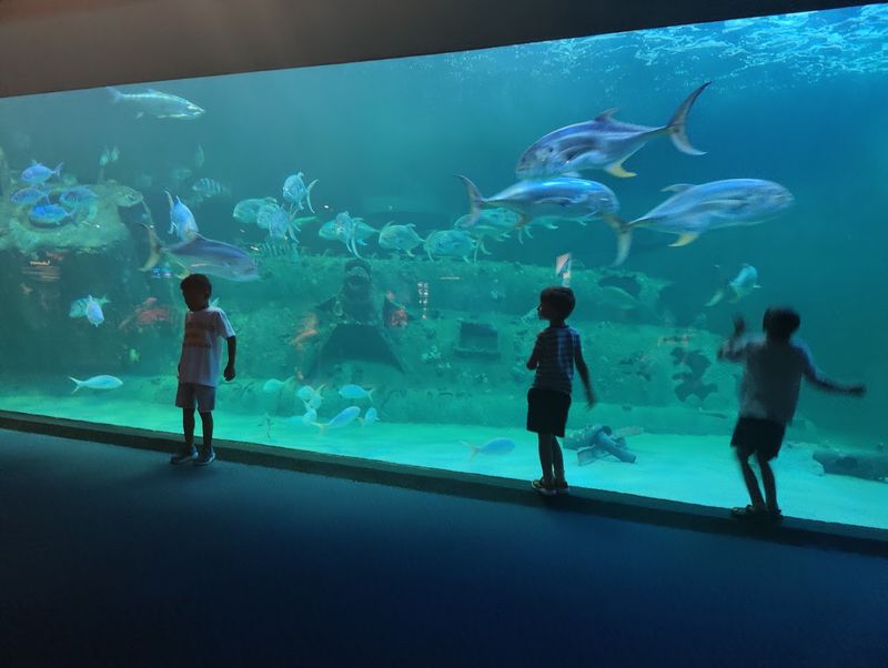 North Carolina Aquarium at Pine Knoll Shores — Pine Knoll Shores