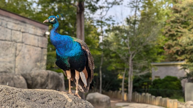 Greensboro Science Center - Greensboro