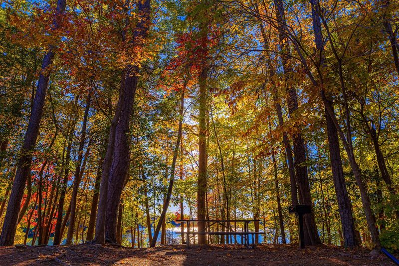 Lake Norman State Park