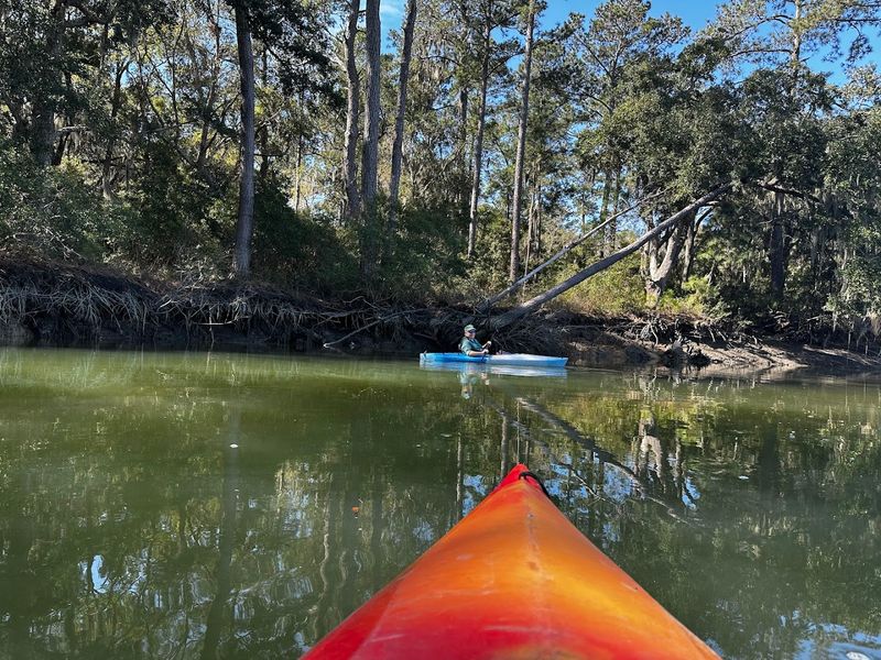 Botany Bay Plantation Heritage Preserve Paddle