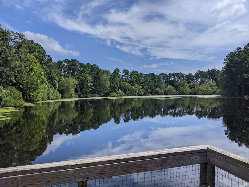 Waccamaw National Wildlife Refuge Paddle