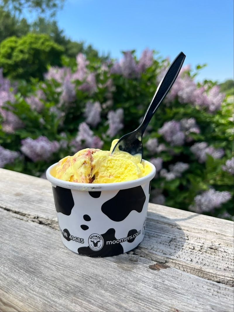 Moomers Homemade Ice Cream - Traverse City, Grand Traverse County