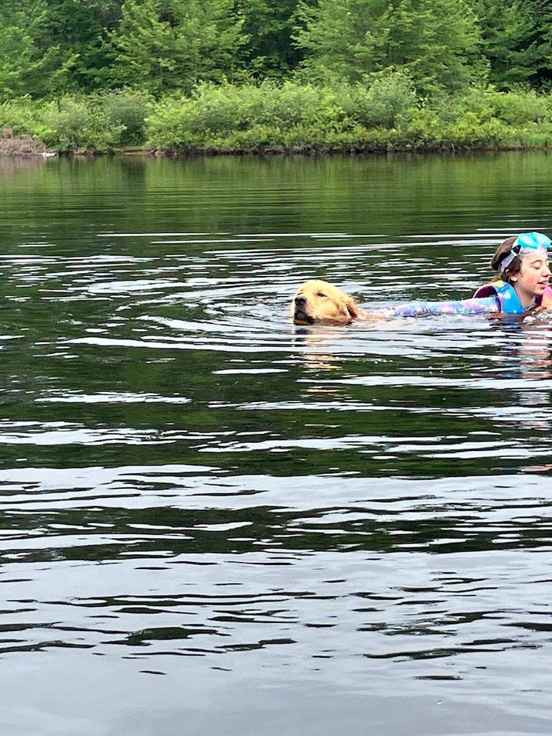 Swimming Holes That Cool Summer Adventures