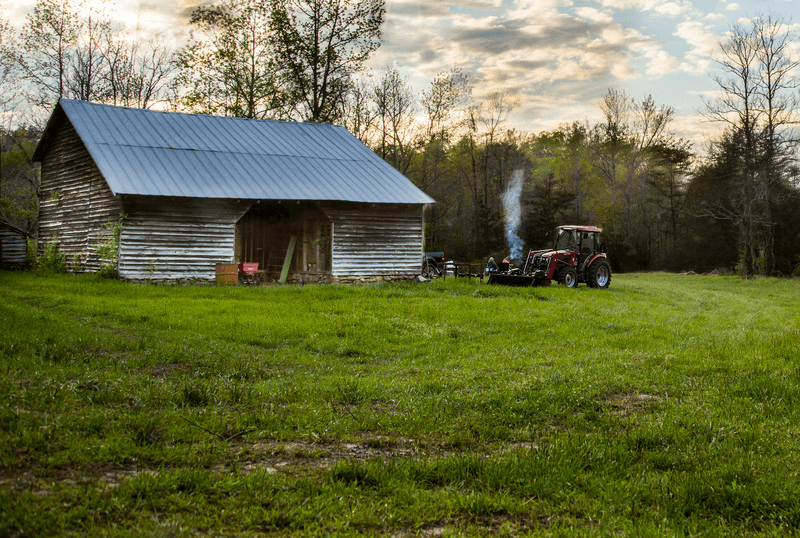 Elf Leaf Farm - Landrum, Spartanburg County