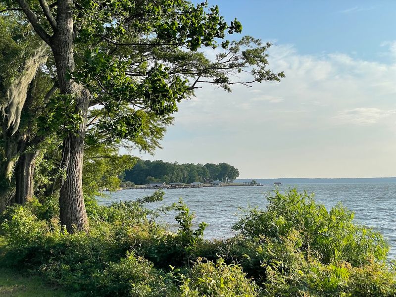 Santee National Wildlife Refuge - Summerton, Clarendon County