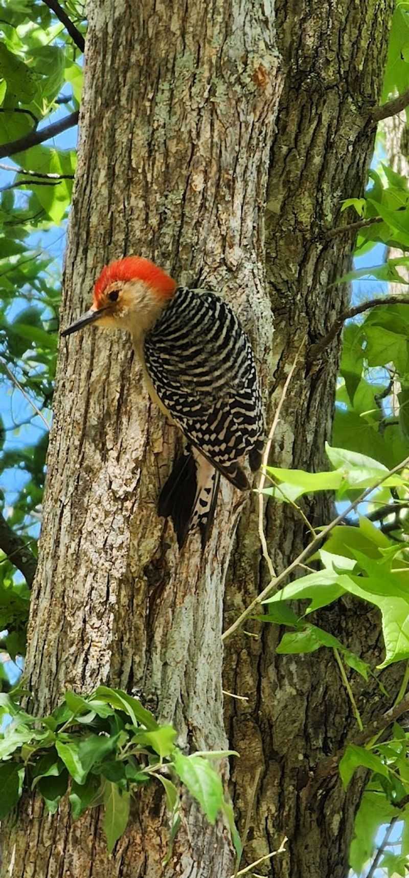 Lake Wateree State Park - Winnsboro, Fairfield County