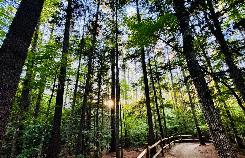 Short Half-Mile Trail Makes Adventure Accessible