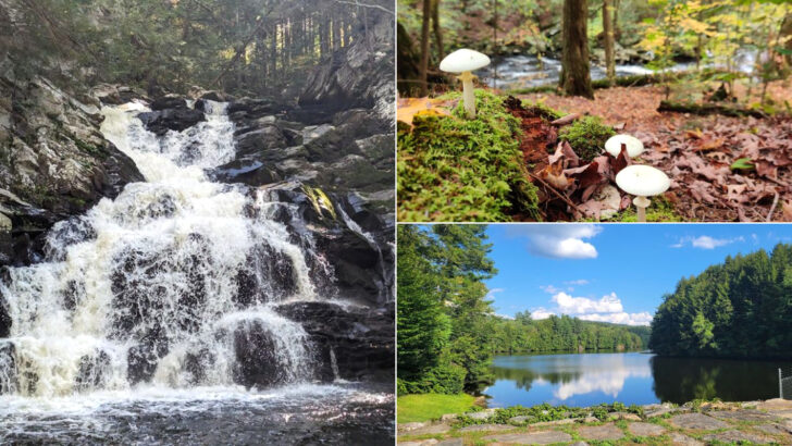 Cascading Water And Forest Trails Make This Massachusetts State Park Worth Every Step