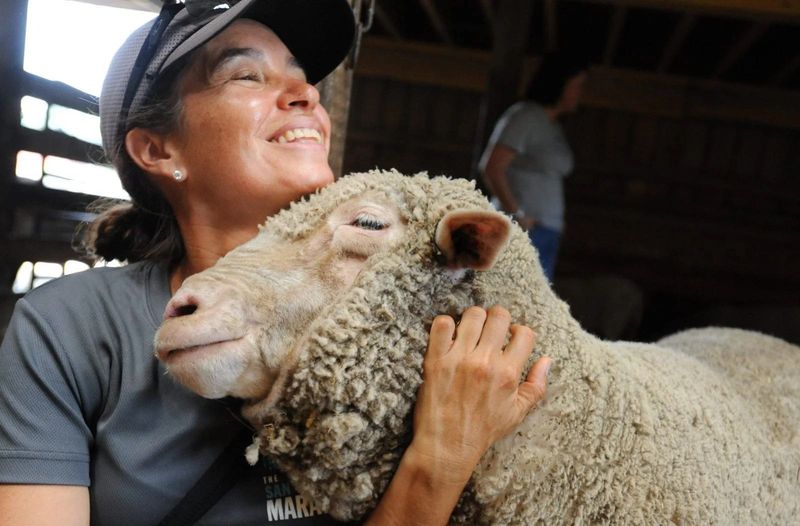 Farm Sanctuary - Watkins Glen, Schuyler County