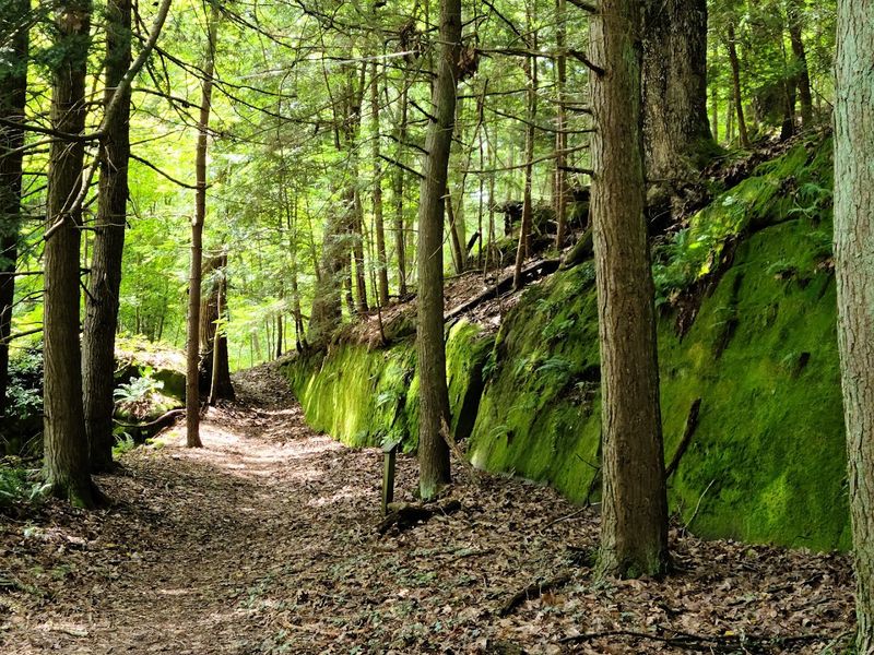 Wahkeena Nature Preserve - Sugar Grove, Fairfield County, Ohio
