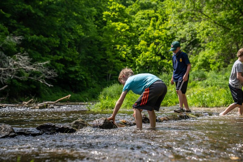 Wildcat Den State Park Trail, Muscatine, Muscatine County