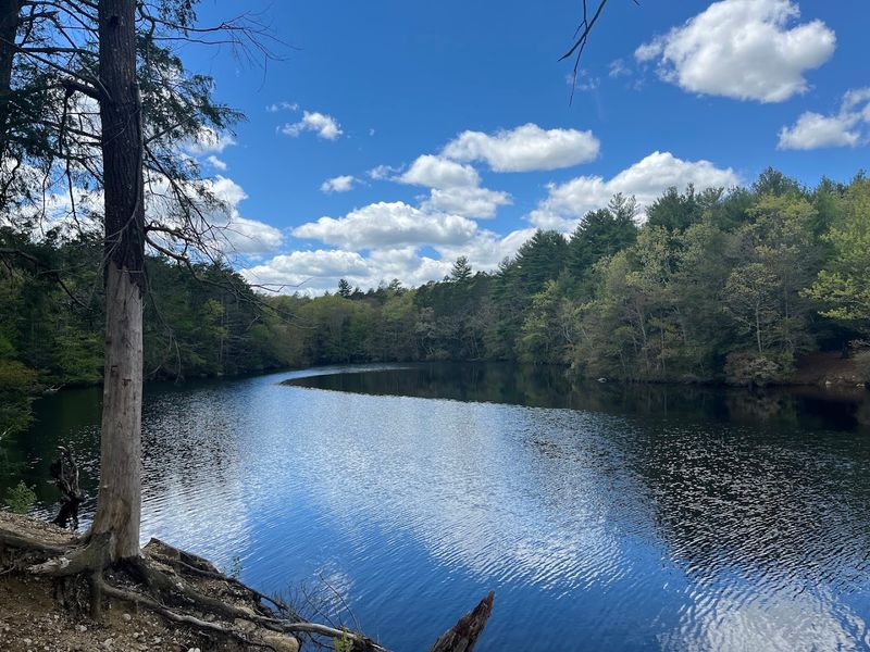 Planning The Perfect Summer Visit