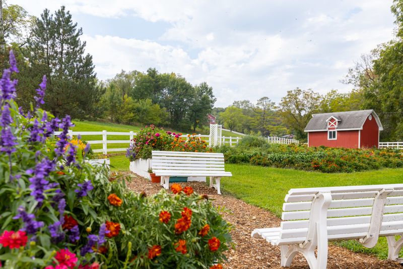 Wildwood Hills Ranch - St. Charles, Madison County, Iowa