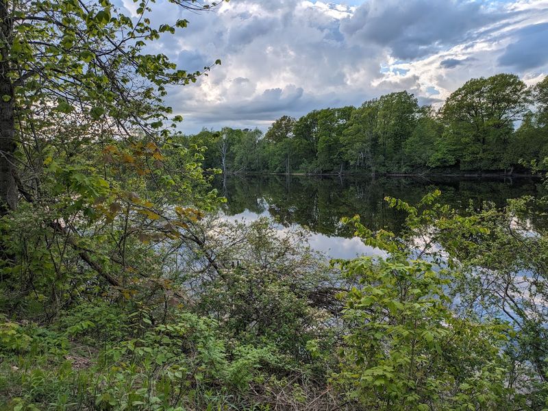 Black River Trail Scenic Byway (NY 3 & NY 812) - Sackets Harbor to Ogdensburg