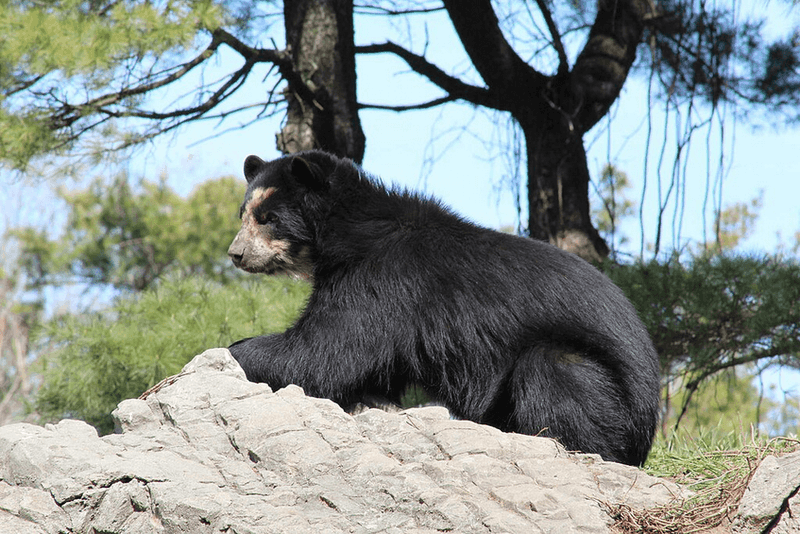Queens Zoo - Queens, Queens County