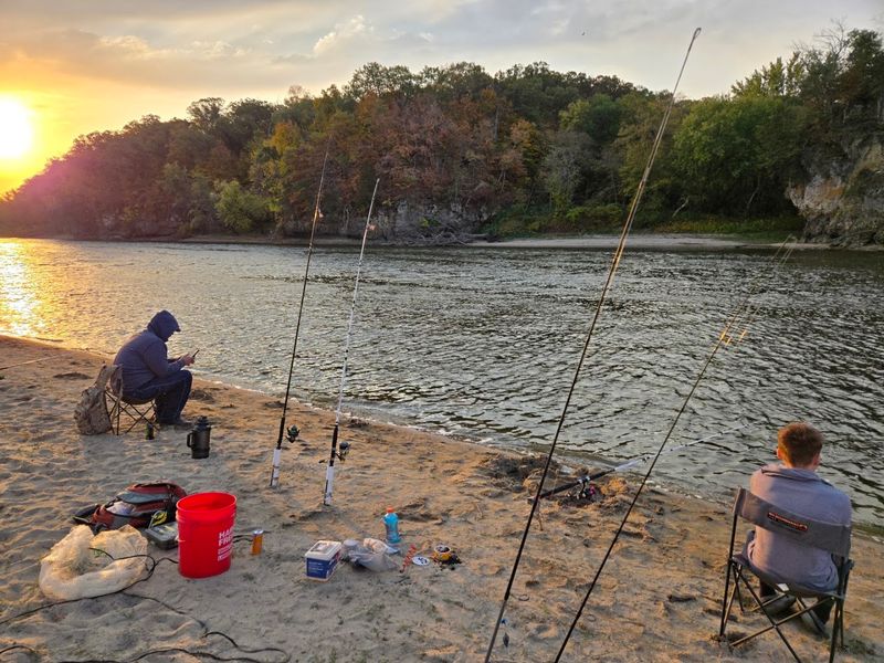 Sandy Shoreline Perfect For Wading And Summer Relaxation