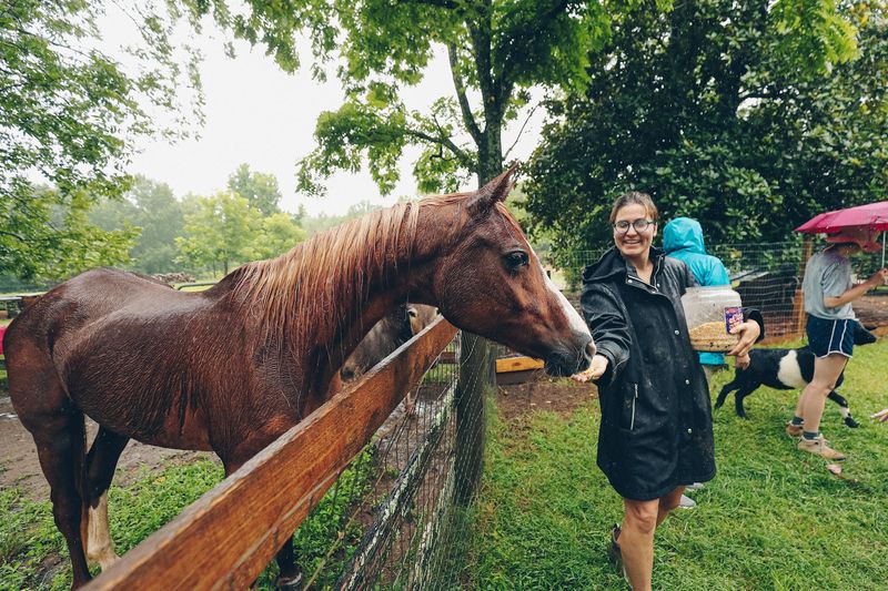 Rambling Rose Farm, Reevesville, Dorchester County