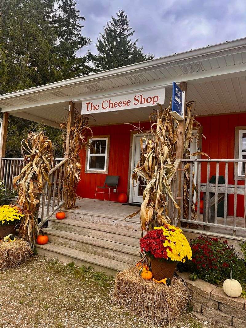 Evergreen Lane Creamery