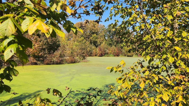 Camden Riverwalk, Camden, Kershaw County