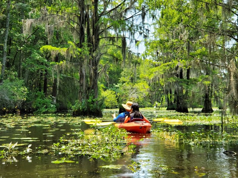 Santee State Park - Santee, Orangeburg County
