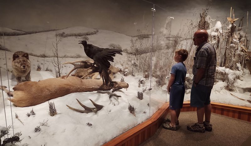 Museum of York County &ndash; Rock Hill