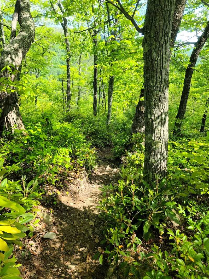 Linville Gorge - Marion, McDowell County