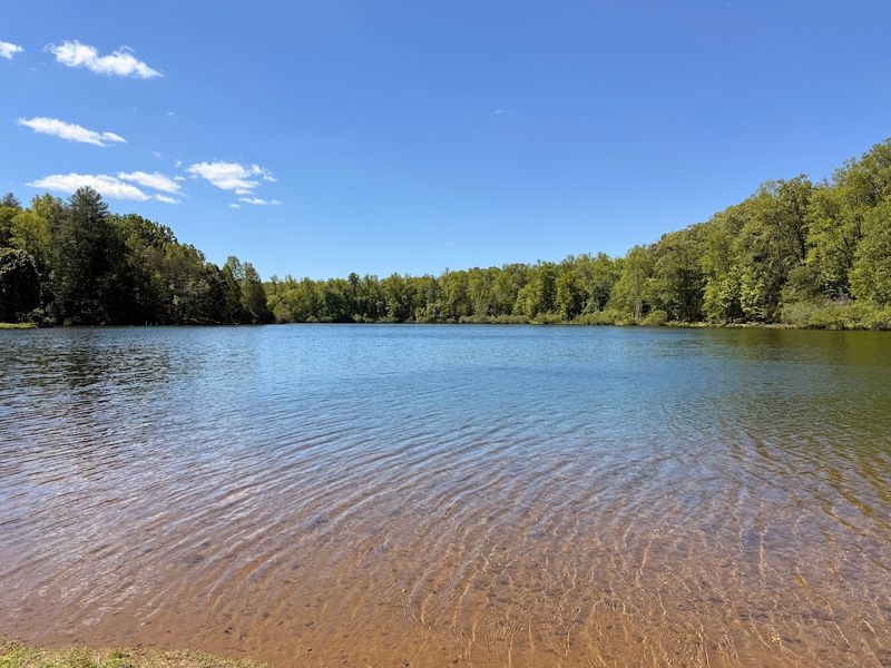 Walnut Creek Park Beach - North Garden