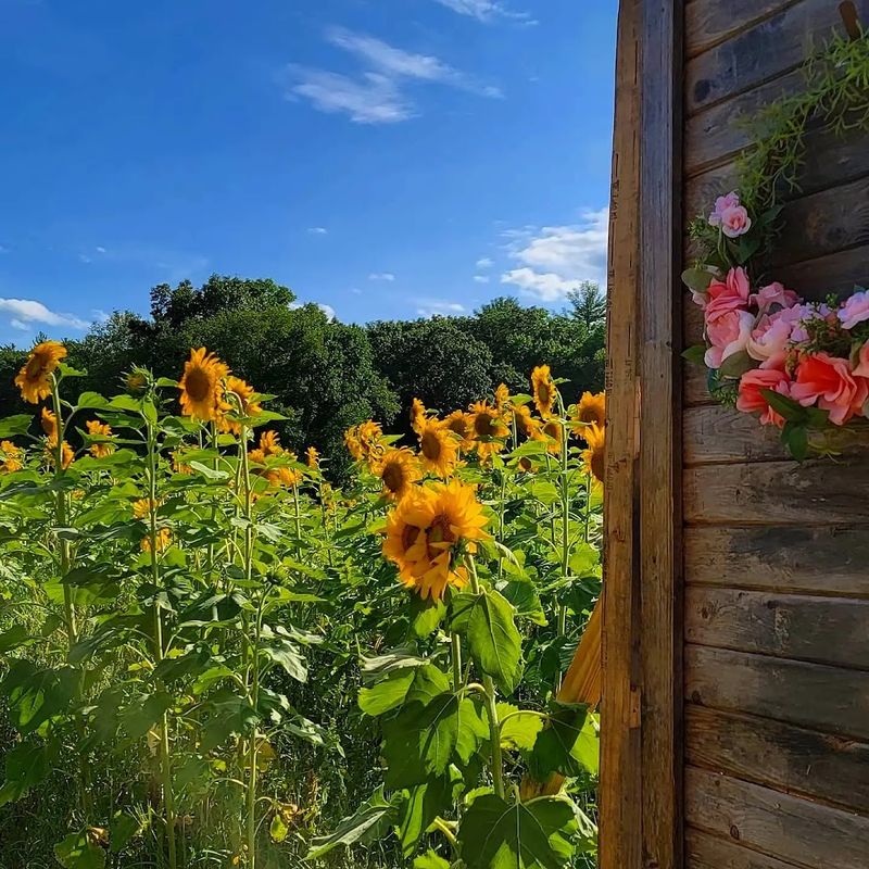 Our Family Legacy Farm - Northampton, Hampshire County