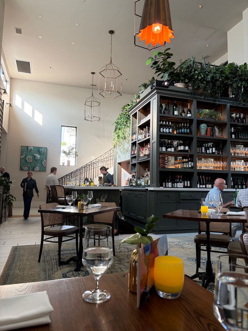 Wild Common - Charleston