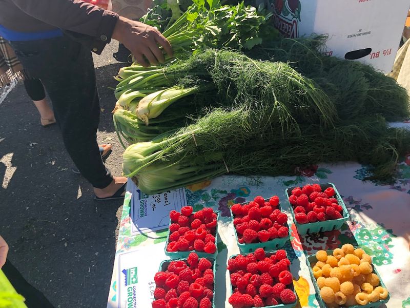West Hartford Farmers Market