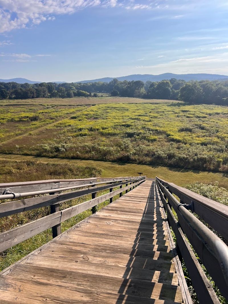 The view from the top mound