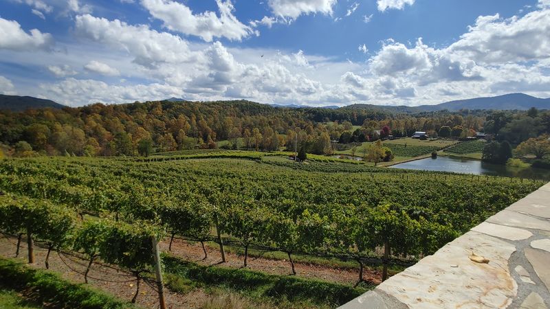 Blue Ridge Wine Highway GA-17 - Hiawassee, Towns County