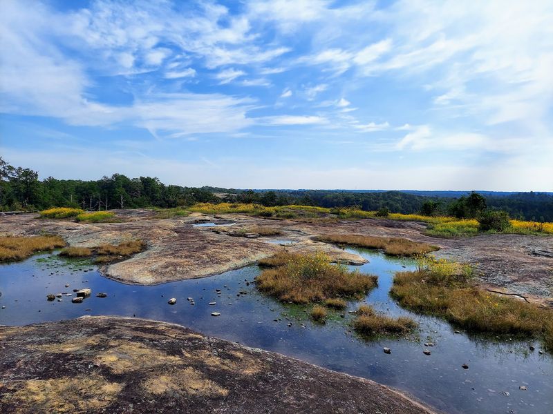 Arabia Mountain National Heritage Area - Lithonia, DeKalb County