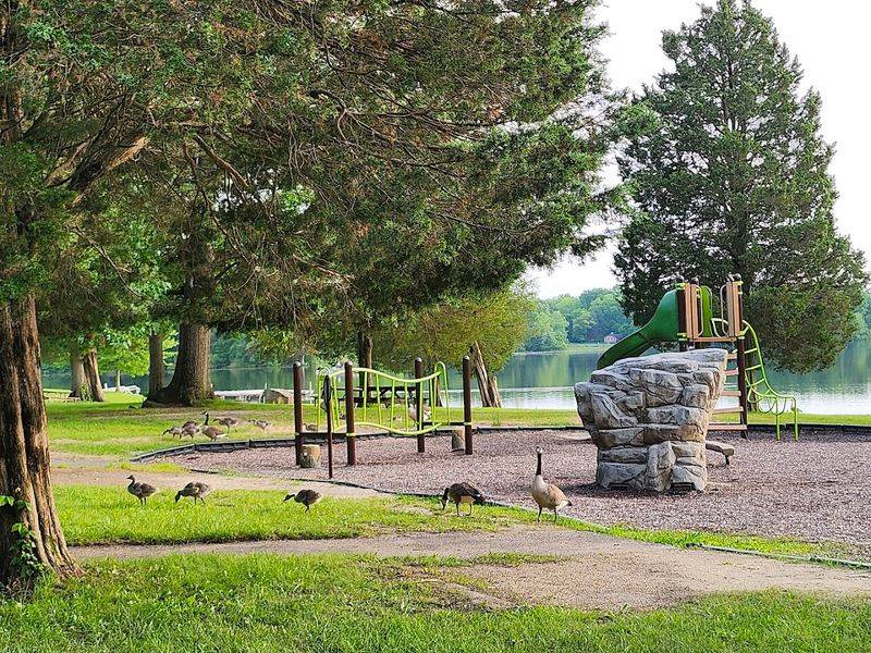 Gifford Pinchot State Park Campground