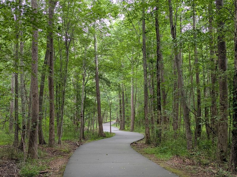 Suwanee Creek Greenway (Suwanee)
